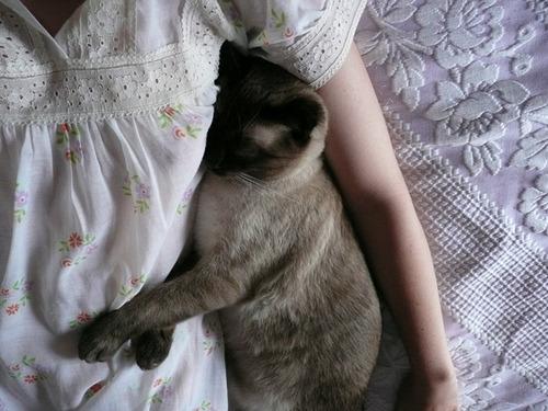 Cat MTkzODk3Mw