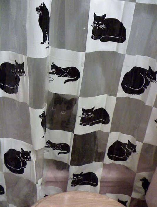 Cat MjA0NDU5Mw