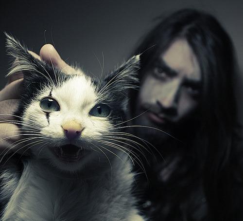 Cat MjA2NDY2NA