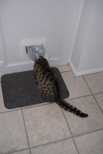 Cat MjAxNzU5Mw