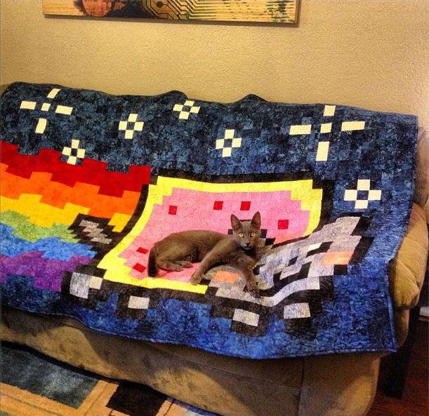 Cat MjAyODE3NQ