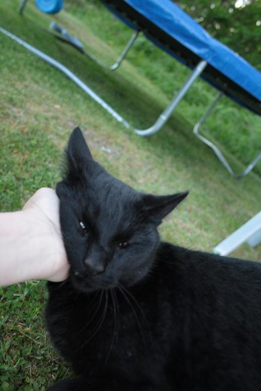 Cat MjAzMDMwMg