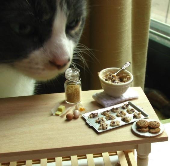 Cat a0b