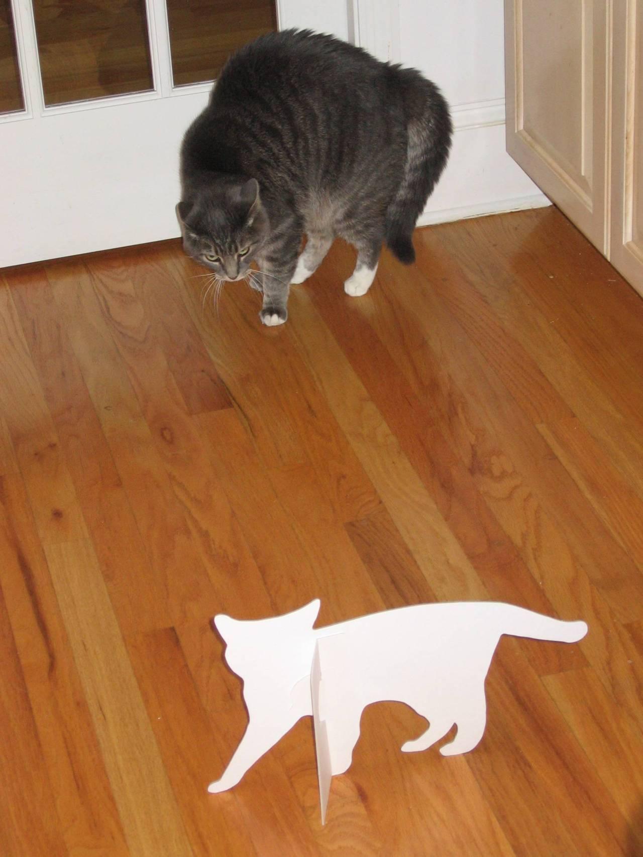 Cat a3v