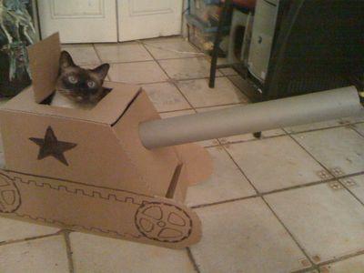 Cat a6u