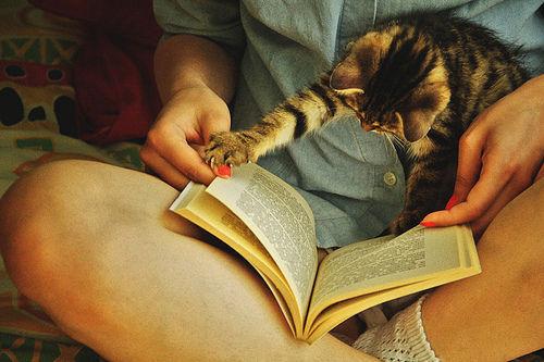 Cat ac4