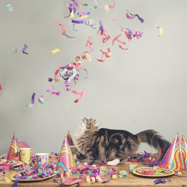 Cat aua
