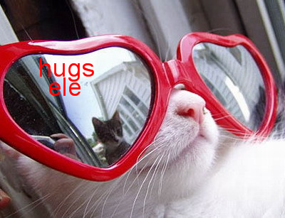 Cat b8