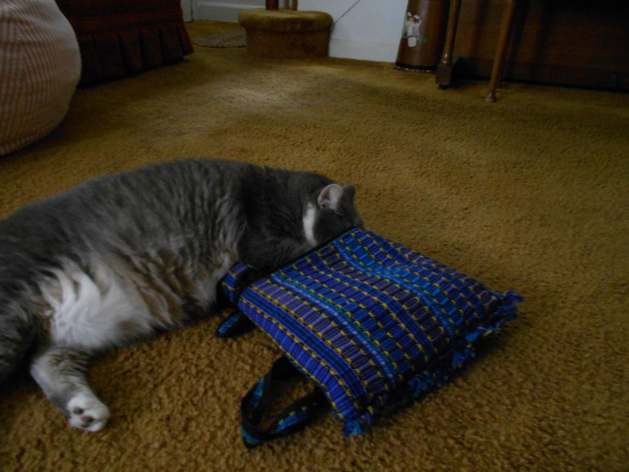 Cat brp
