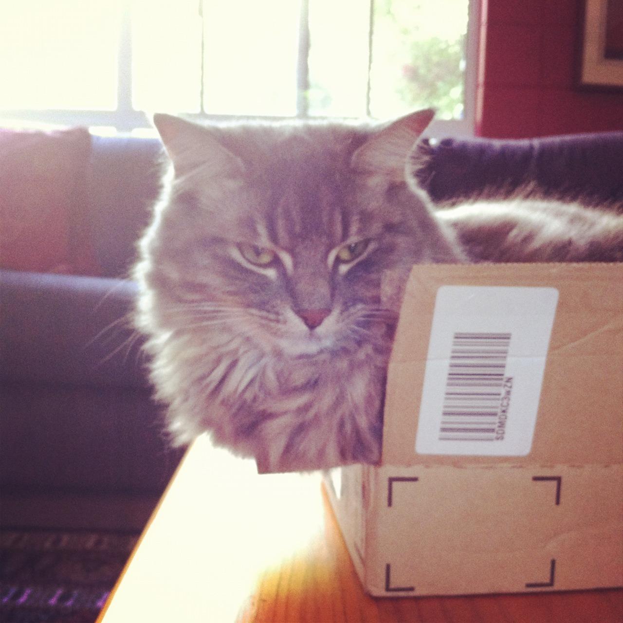 Cat c0