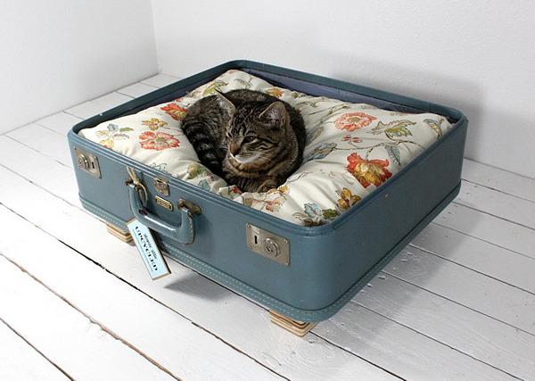 Cat c5s