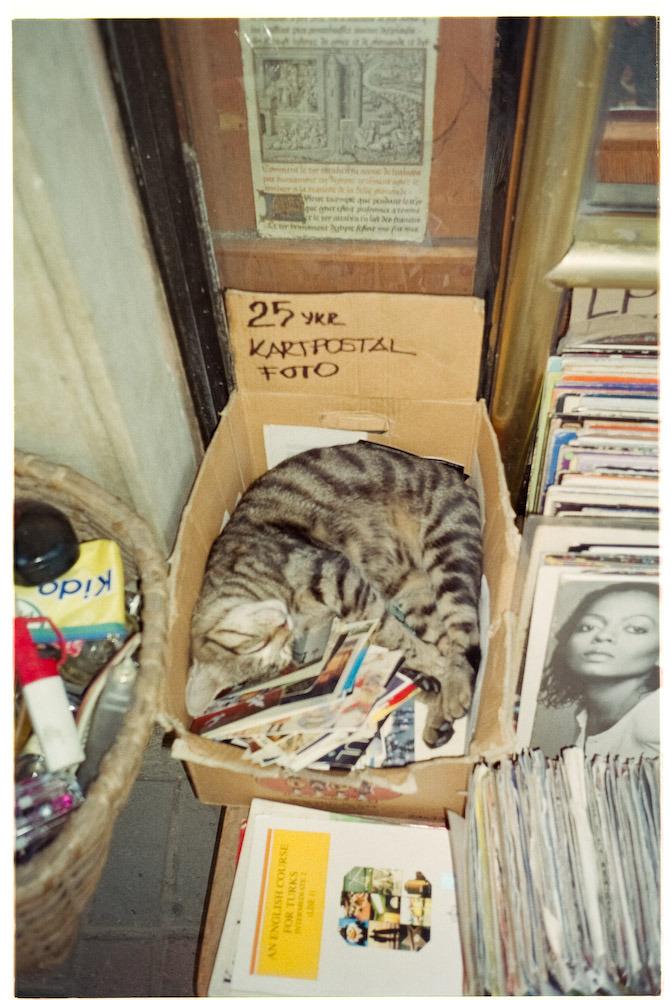 Cat cdm
