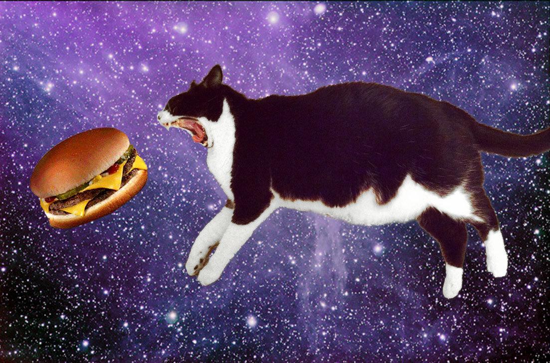 Cat cq0