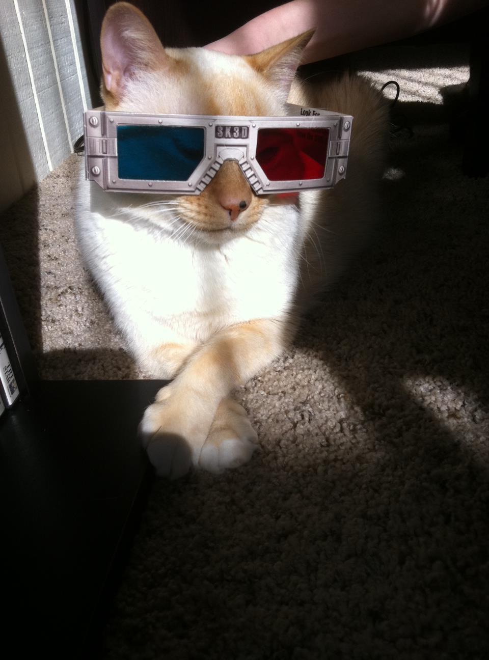 Cat dub
