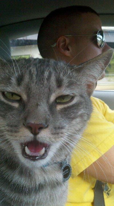 Cat e0h