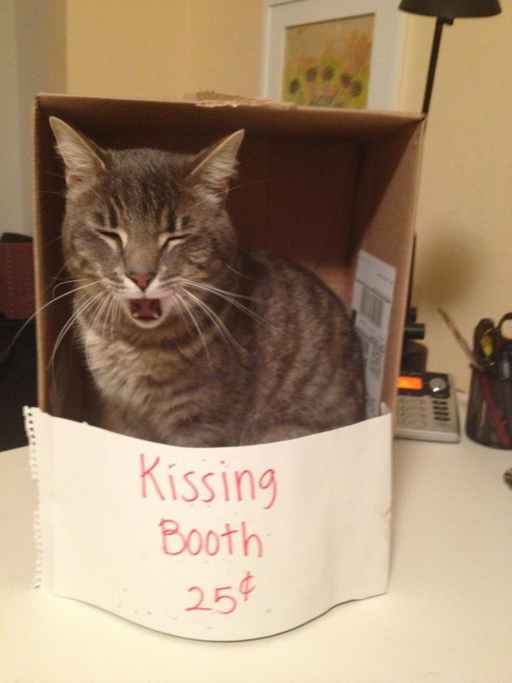 Cat e1j