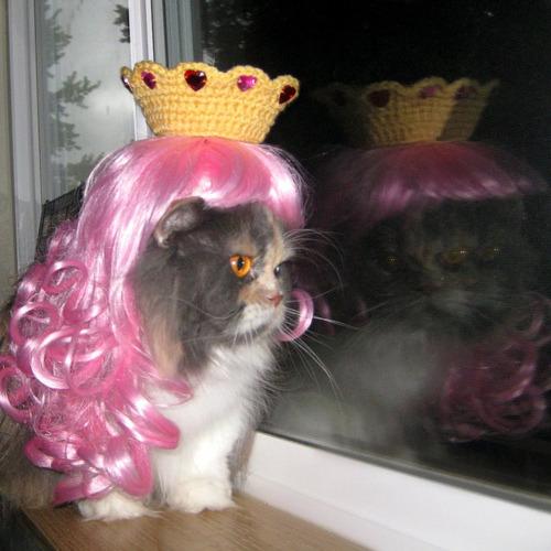 Cat e2k