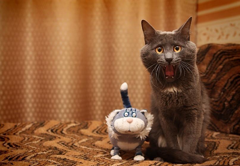 Cat e3f