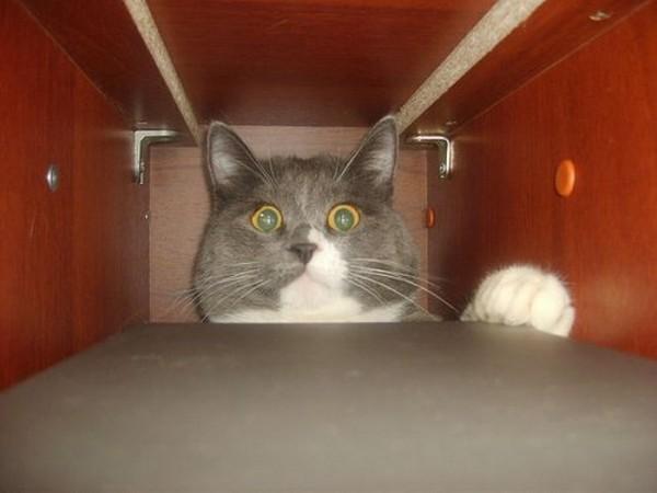 Cat e3g