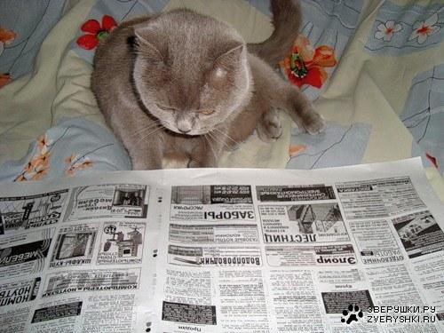 Cat e5p