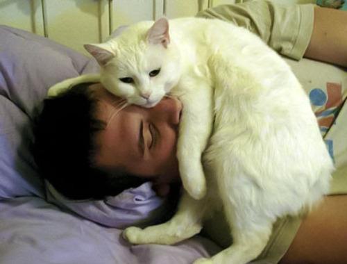 Cat eag