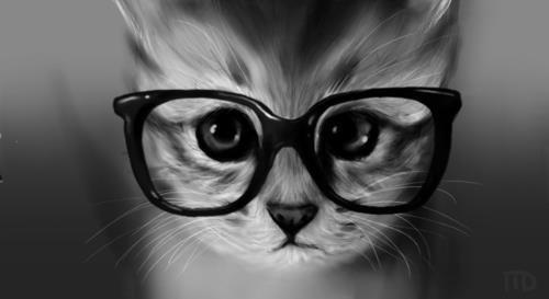 Cat egq