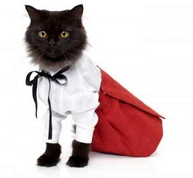 Cat u2